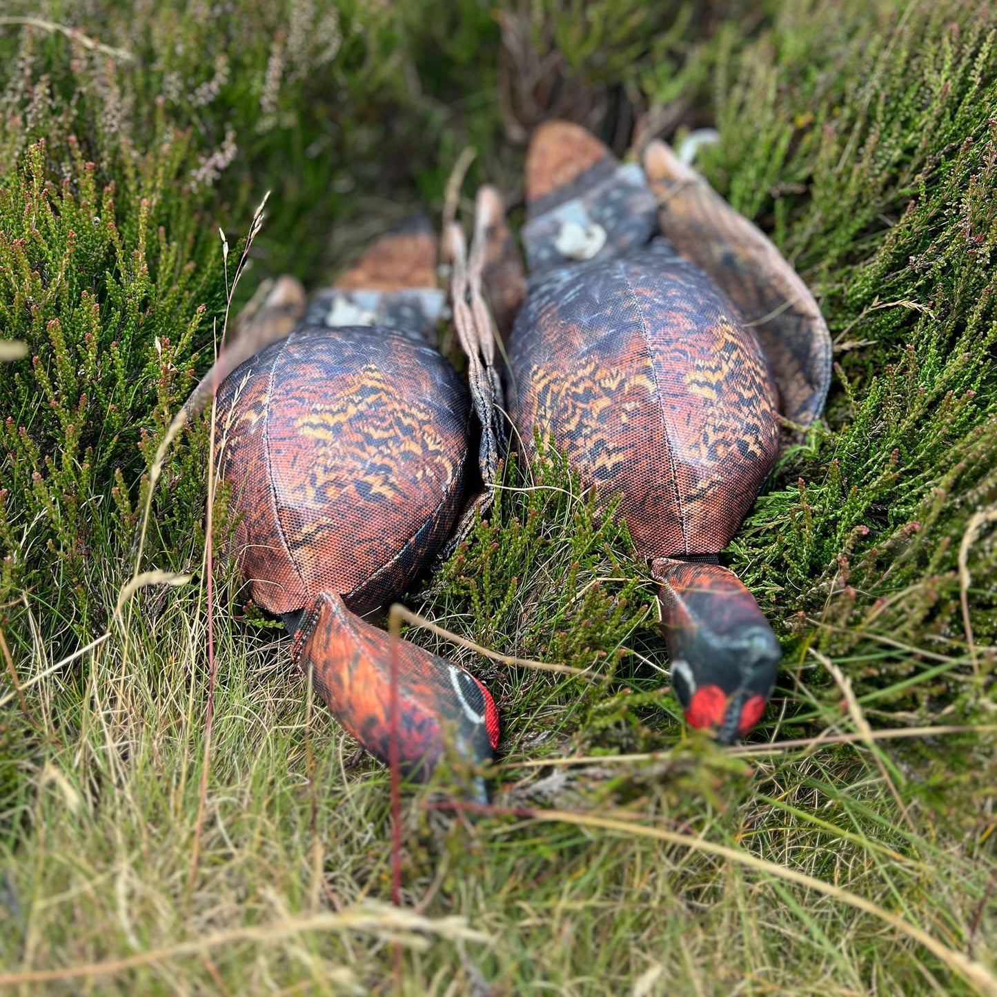 Dog & Field The Original Clone®️ Dead Bird Dummy – Grouse